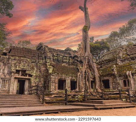 Stunning evening view of the Ta Prohm temple with a big old trees overgrowing the ruins Royalty-Free Stock Photo #2291597643