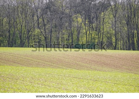 Early spring, field seen from Ayot Greenway in Hertfordshire, England