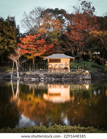 A picture of a Japanese garden, captured in the onset of the fall season.