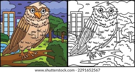 Owl Coloring Page Colored Illustration