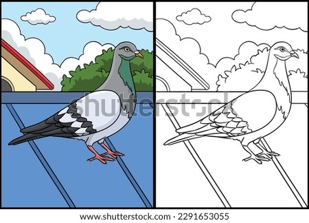 Pigeon Coloring Page Colored Illustration