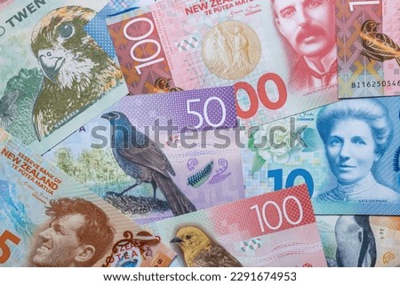 New Zealand money, all banknotes, dollar currency, financial background Royalty-Free Stock Photo #2291674953