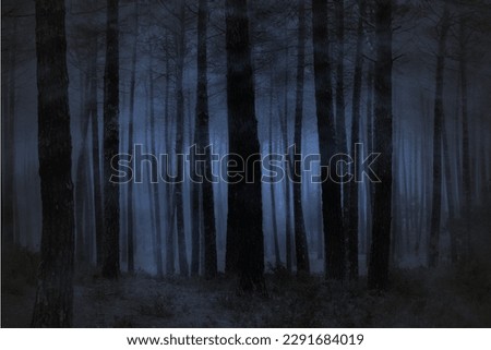 Spooky foggy forest at night