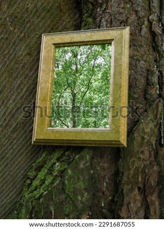 A mirror hangs on a tree trunk in the forest, many green trees can be seen in the mirror.