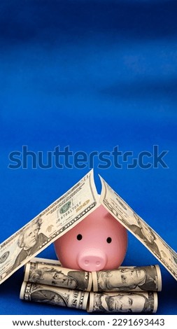 pig and 100 us dollars, blue background. loans to buy an apartment.