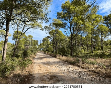 Gravel road through Parc Natural del Montgrí around L'Estartit and L'Escala in Catalunia Spain Royalty-Free Stock Photo #2291700551