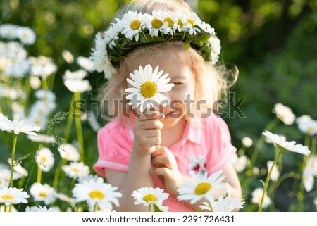 Little girl in a field with daisies, portrait of a child with a daisy.