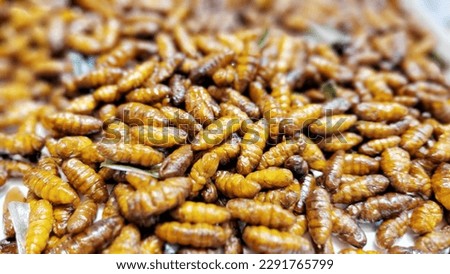 Pupa, Silkworm fried food, fried insect in Asia, Thailand. Thai street street food  Royalty-Free Stock Photo #2291765799
