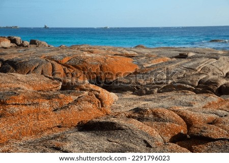 Beautiful landscape at Bay of fire in Tasmania.   Rocks are orange and the ocean is turquoise.