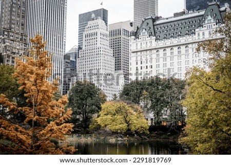 New York City Central Park. Central Park New York. Royalty-Free Stock Photo #2291819769