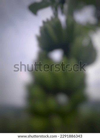 defocused and blurry abstract banana photo.
