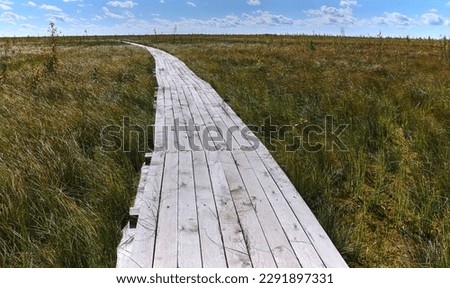 This wooden deck is an ecological trail for tourists that leads through a natural riding swamp. It offers beautiful views of the amazing nature of the swamps in Eastern Europe