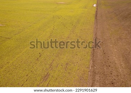 Drone photography of agriculture field close up and animal tracks in the mud during springtime cloudy day.