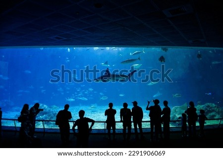 Gazing thru the glass panel of a giant aquarium in Pingtung, Taiwan, tourists get amazed by the scene of huge sharks swimming among the beautiful marine fish in the mysterious under water world