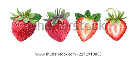 Strawberry watercolor fruit hand painted. Vegetable fresh fruit summer isolated on white background. Red berry fruit vector illustration Royalty-Free Stock Photo #2291918833