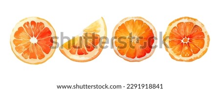 Orange Fruit Watercolor Set. Fresh summer fruit, citrus mandarin fruit, orange fruit slice isolated on white background. Vector illustration Royalty-Free Stock Photo #2291918841