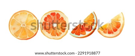 Orange Fruit Watercolor Set. Fresh summer fruit, citrus mandarin fruit, orange fruit slice isolated on white background. Vector illustration Royalty-Free Stock Photo #2291918877