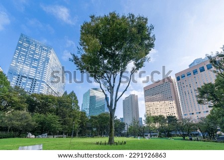 Scenery of Shinjuku Central Park , Japanese translation " shinjuku " Royalty-Free Stock Photo #2291926863