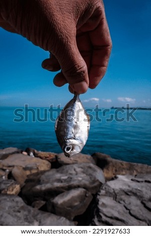 Sea fish die from drought