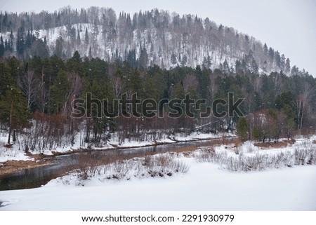 River Lebed' near Altai village Ust'-Lebed' in winter season. Siberia, Russia