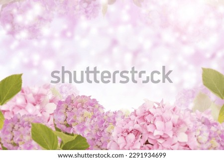 Hydrangea ,flower,beauty,nature.In this picture the beautiful hydrangea flower attract the viewers act as nature and beauty.