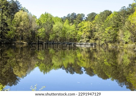 The summer green trees and the lake reflection at Crowder Park in Apex, North Carolina