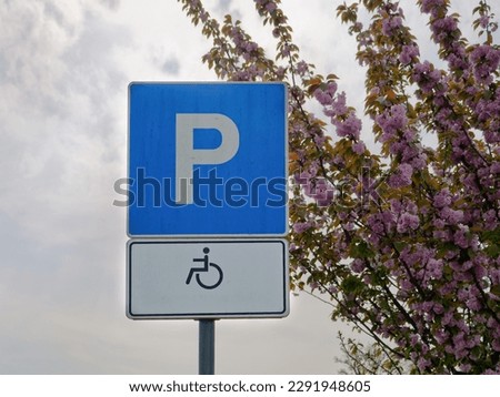 Close-up photo of a handicapped parking sign attached to a metal pole with tree flower branches in the background