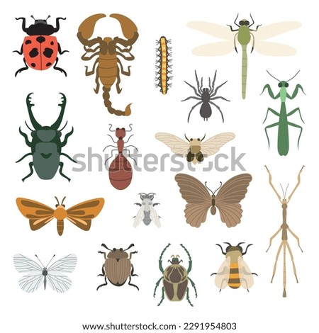 Variety of insects and bugs entomology simple vector drawing flat illustration collection set pack - bee, ladybugs, butterfly, spider, ants, moth, beetle, mantis, grasshopper, scorpion, caterpillar