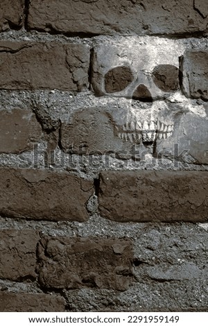 Photocomposition with old wall and skull