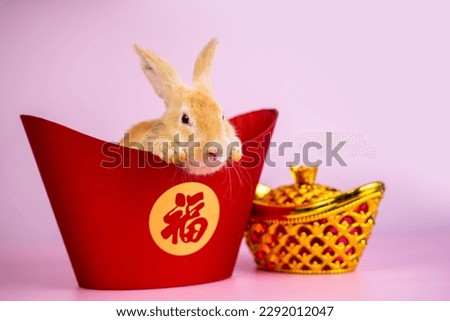 Cute brown rabbit with traditional Chinese money celebrating Chinese New Year. In Mandarin, "Fu" means good fortune.