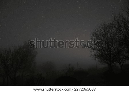 Ukrainian night starry sky and forest