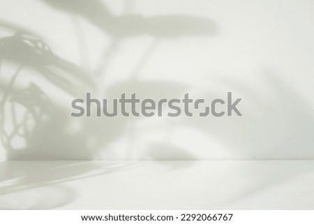 Abstract leaf shadow overlay in perspective for product placement Royalty-Free Stock Photo #2292066767
