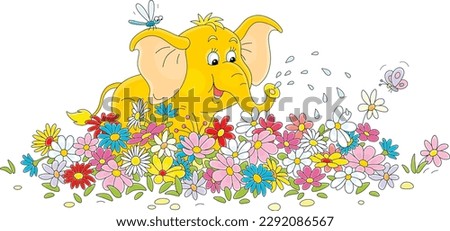 Happy baby elephant watering colorful flowers on a pretty flowerbed in a summer garden, vector cartoon illustration isolated on a white background