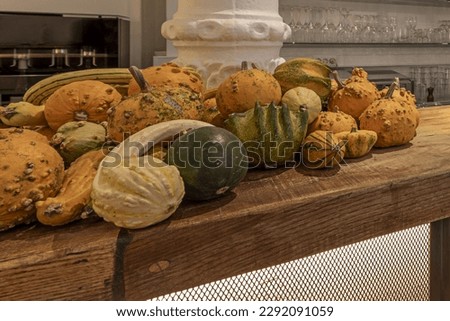 A bunch of small pumpkins of different varieties
