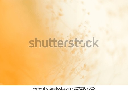 Dry art flower branch, soft focus background