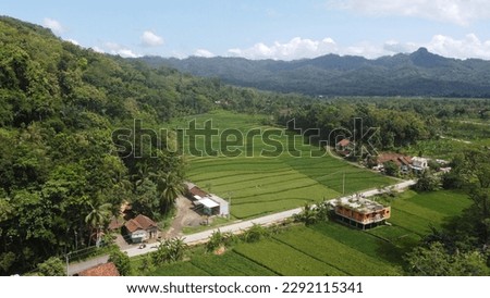 Balanced between villages and rice fields