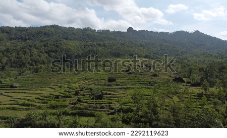 A COMBINATION BETWEEN NATURAL ROCKS AND FIELDS IN KEBUMEN, INDONESIA