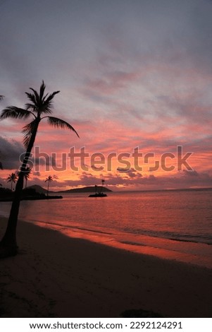 Golden sun sinking into the horizon, painting the sky with shades of pink and orange. Palm trees swaying in the gentle breeze, waves lapping at the shore. A picture-perfect Hawaiian sunset.