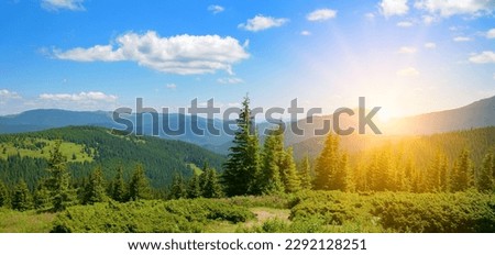 Beautiful bright sunrise in mountains and blue sky with white clouds.
