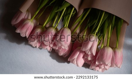 Tulip flowers for events and more