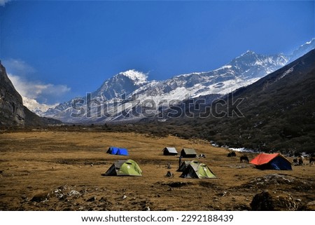 kanchanjungha range from Dzongri pass sikkim, Dzongri scenic view point of Kanchenjunga Nation park Sikkim India