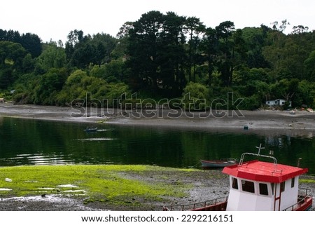 Landscape full of green vegetation, bushes and trees, contrasted with the cloudy sky, the sand and the water around it.
And a part of a boat in the corner of the picture.
