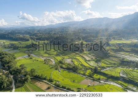 A view of rice fields in Tondok Bakaru Village, Mamasa Regency, West Sulawesi, Indonesia. Royalty-Free Stock Photo #2292230533