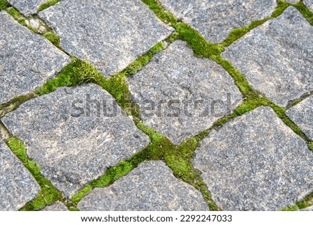 Nice paved road. High quality stone finish