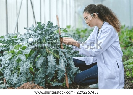 Agriculture Entomology pest insects research science working people, Plant scientist smart woman work in farm garden glasshouse. Royalty-Free Stock Photo #2292267459