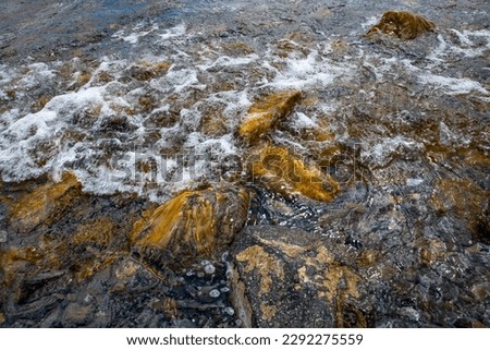 Close up water with algae on the beach concept photo. Pebbles under water. The view from the top, nautical background. High quality picture for wallpaper