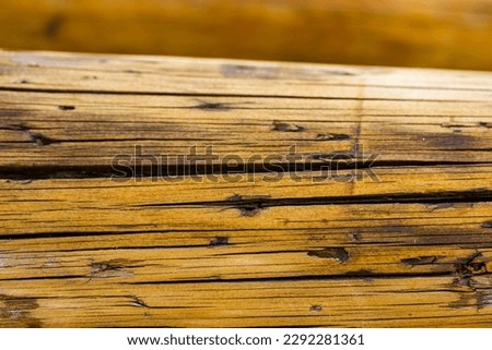 Grange wooden surface close up. Brown orange natural wood with cracks background. An old cracked tree trunk. Carpentry works, wood protection. Abstract wooden backdrop macro photo. Natural cracks.