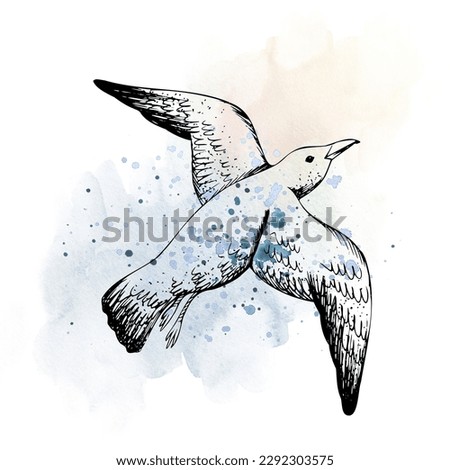 Flying seagull marine graphics against the background of watercolor, blue and pink spots and splashes. Hand drawn illustration, composition isolated on white background, for posters, stickers, prints.