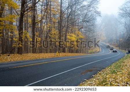 Winding road near forest park with tall mature trees and colorful yellow fall leaves, rear view blurry car motions at early foggy morning in Rochester, New York, USA. Roadside autumn landscape Royalty-Free Stock Photo #2292309653