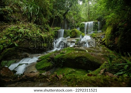 "SALU DAMBU" Waterfall, is a waterfall located in a protected forest area, Sumarorong sub-district, Mamasa district, West Sulawesi province, Indonesia. Royalty-Free Stock Photo #2292311521